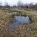 Pístovské mokřady, 14.1.2015, foto Vojtěch Kodet