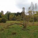 PR Nad Svitákem, 8.10.2016, foto Vojtěch Kodet