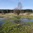 PR Chvojnov, 5.4.2016, foto Vojtěch Kodet