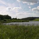 Třeštický rybník, 18.6.2009, foto Vojtěch Kodet