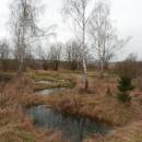 Pístovské mokřady, 14.1.2015, foto Vojtěch Kodet