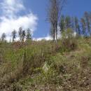 RBC Jestřebnice, 20.4.2016, foto Vojtěch Kodet
