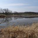 ryb. Smíchov, 28.3.2016, foto Vojtěch Kodet