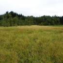 Pilný rybník, 2.9.2013, foto Vojtěch Kodet