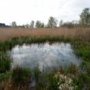 ryb. Dolní Bradlo, 2.5.2015, foto Vojtěch Kodet
