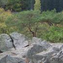PP Zaječí skok, 10.10.2004, foto Vojtěch Kodet