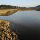 Olešský rybník, 31.3.2017, foto Vojtěch Kodet
