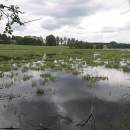 Velký Klátův rybník, 24.6.2010, foto Vojtěch Kodet
