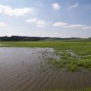 Znětínecký rybník, 5.7.2006, foto Vojtěch Kodet