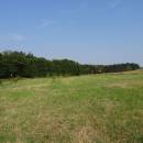 PR Vílanecké rašeliniště, 13.8.2015, foto Vojtěch Kodet