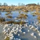 Rýžovka, 1.1.2017, foto Vojtěch Kodet