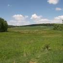 Bělokamenský mokřad, 24.5.2012, foto Vojtěch Kodet