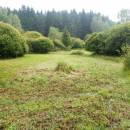 Rašeliniště Pod Trojanem, 28.8.2013, foto Vojtěch Kodet