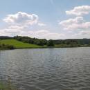 Olešský rybník, 29.6.2010, foto Vojtěch Kodet