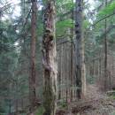 PP Na Skalce, 1.6.2016, foto Vojtěch Kodet