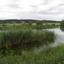 Nový Častotický rybník, 8.6.2009, foto Vojtěch Kodet