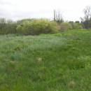 Frejlach, 15.5.2010, foto Vojtěch Kodet
